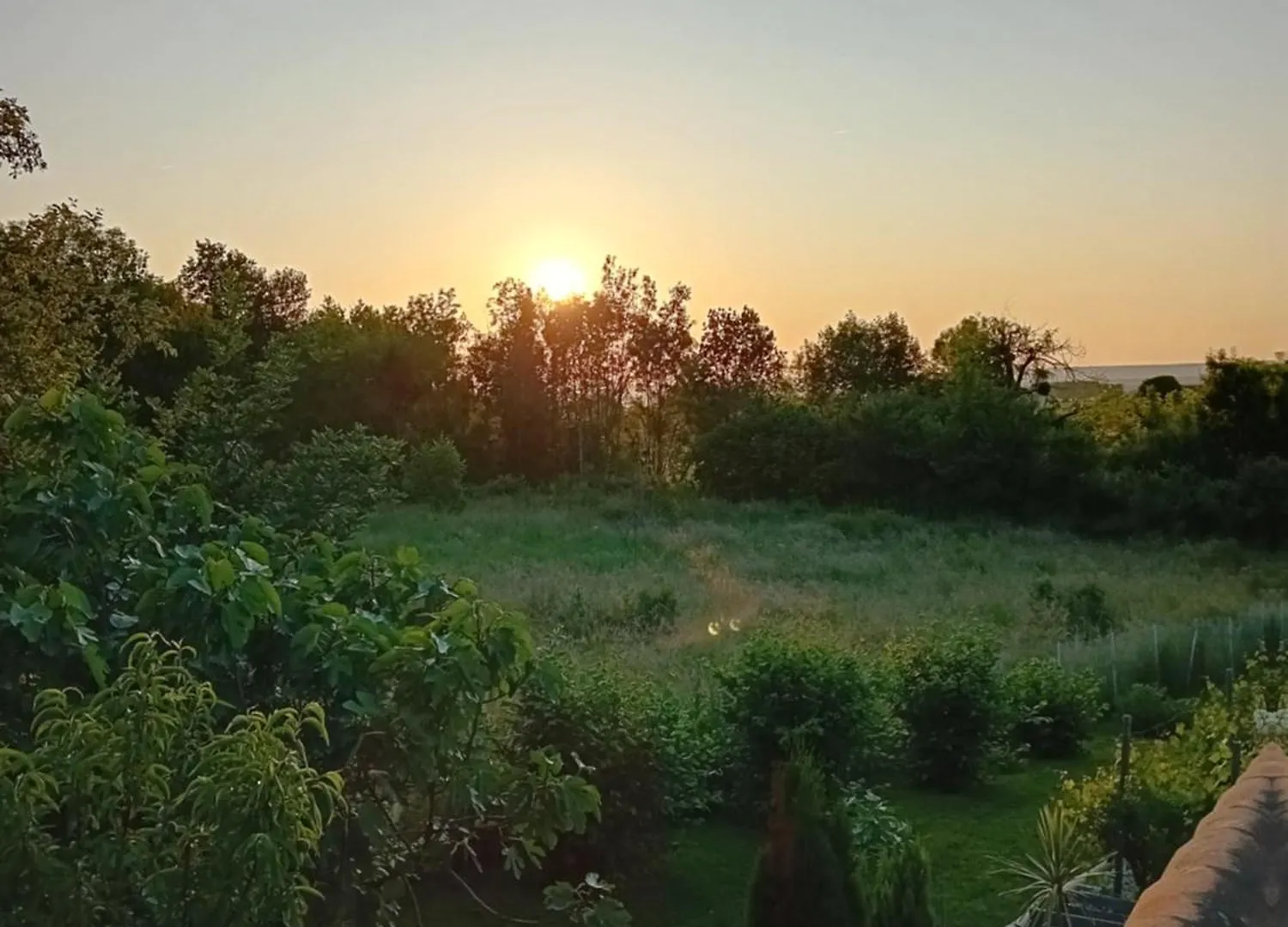 Homestay Les Merles Marcollin France